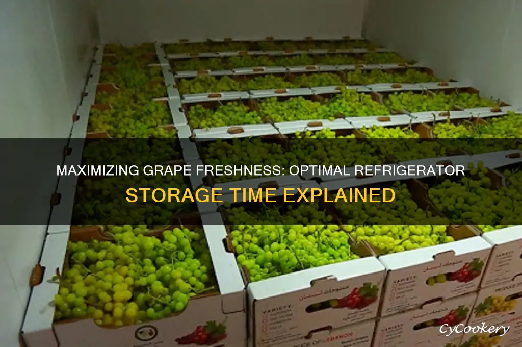 how long can grape sbe stored in refrigerator