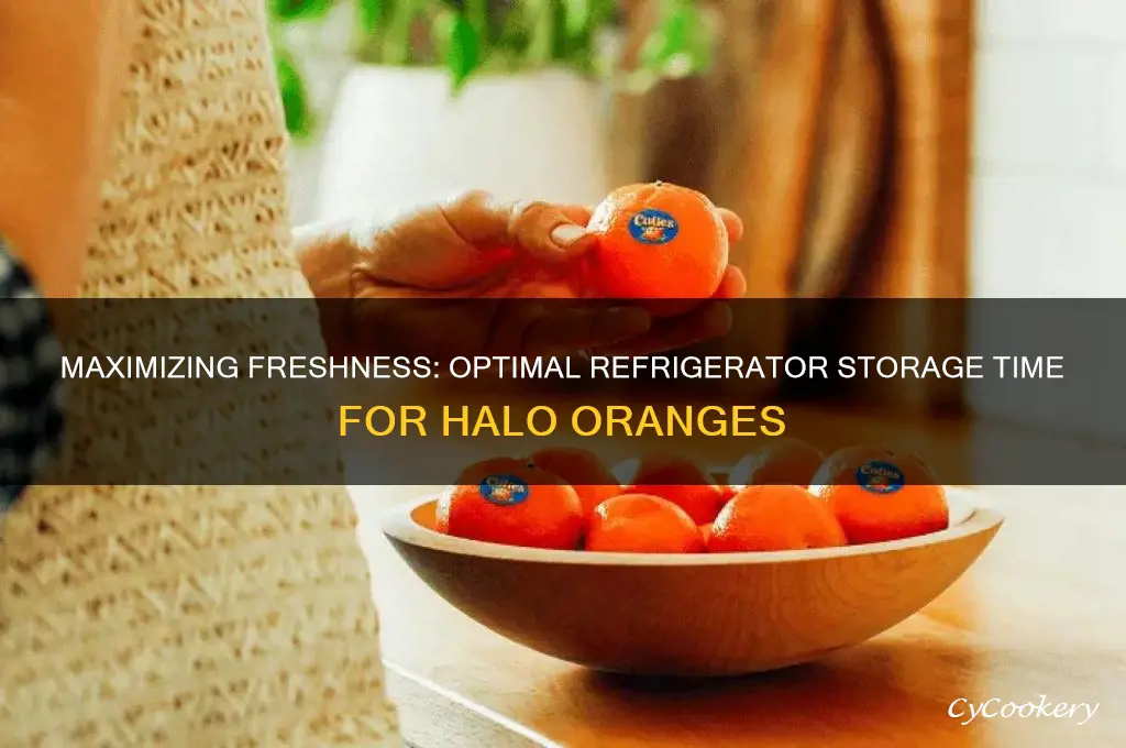 how long can halo oranges be in the refrigerator