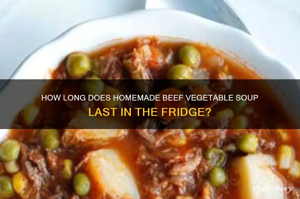 how long can homemade beef vegetable soup dtay in refrigerator