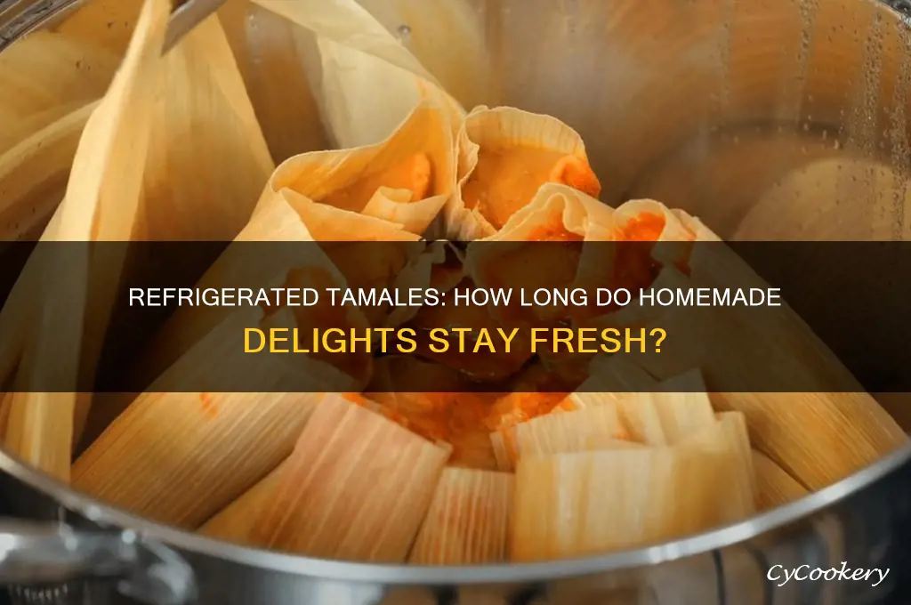 how long can homemade tamales stay in the refrigerator