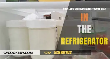 Homemade Yogurt Shelf Life: Refrigerator Storage Duration Explained