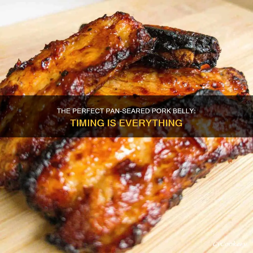 how long can I cook pork beely on a pan