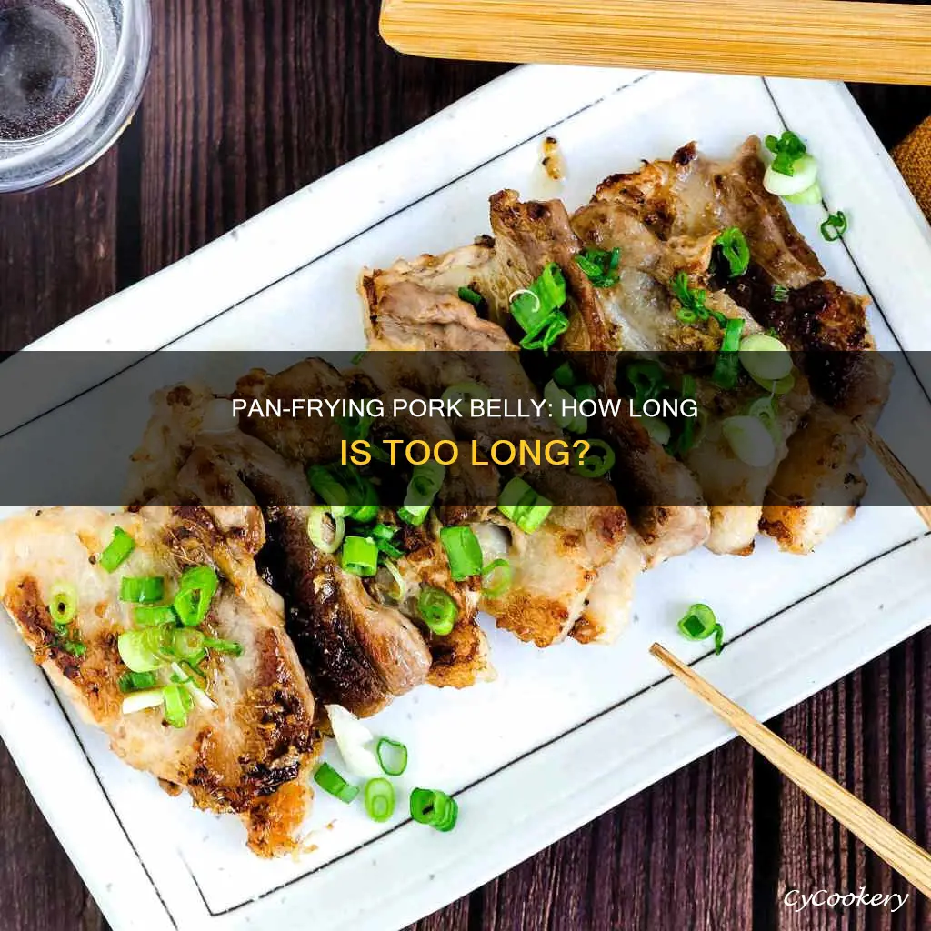 how long can I cook pork belly on a pan