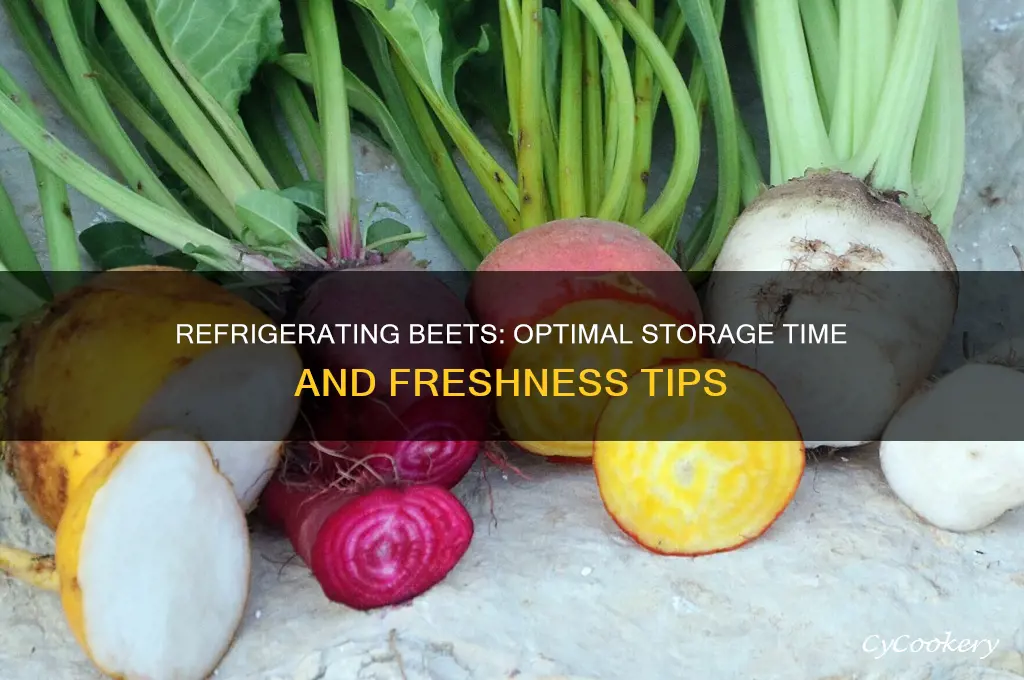how long can i refrigerate beets