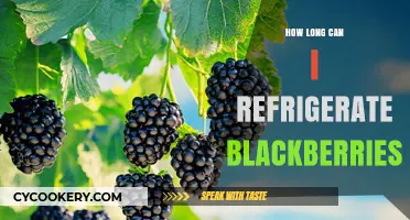 Refrigerating Blackberries: Optimal Storage Time and Freshness Tips