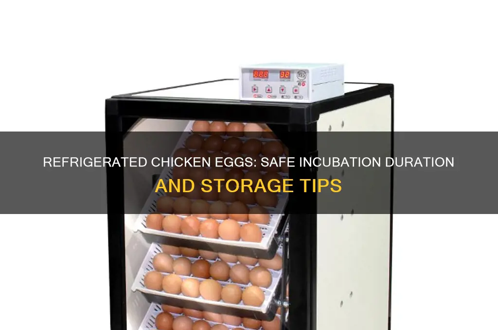 how long can i refrigerate chicken eggs for incubator
