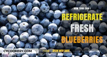Refrigerating Fresh Blueberries: Optimal Storage Time and Tips