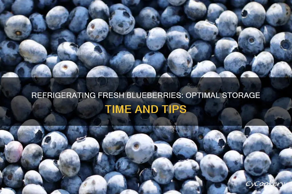 how long can i refrigerate fresh blueberries