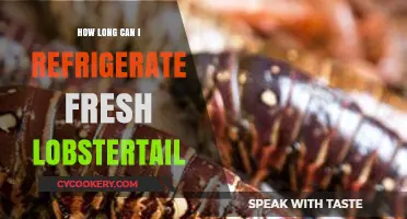 Refrigerating Fresh Lobster Tails: Optimal Storage Time and Tips