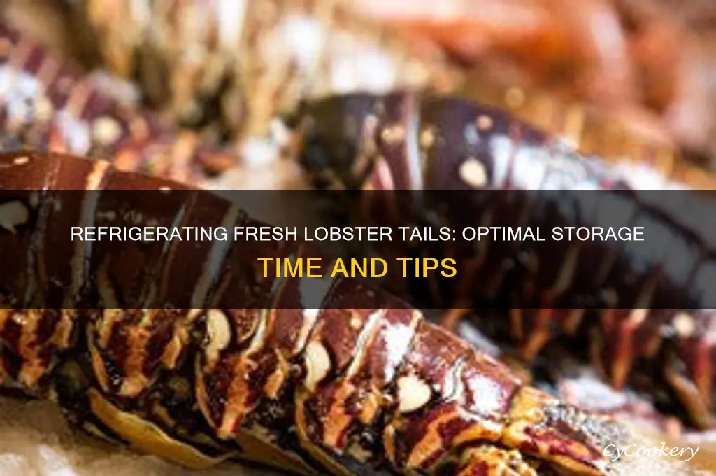 how long can i refrigerate fresh lobstertail