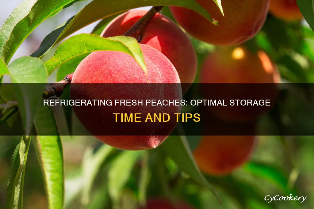 how long can i refrigerate fresh peaches