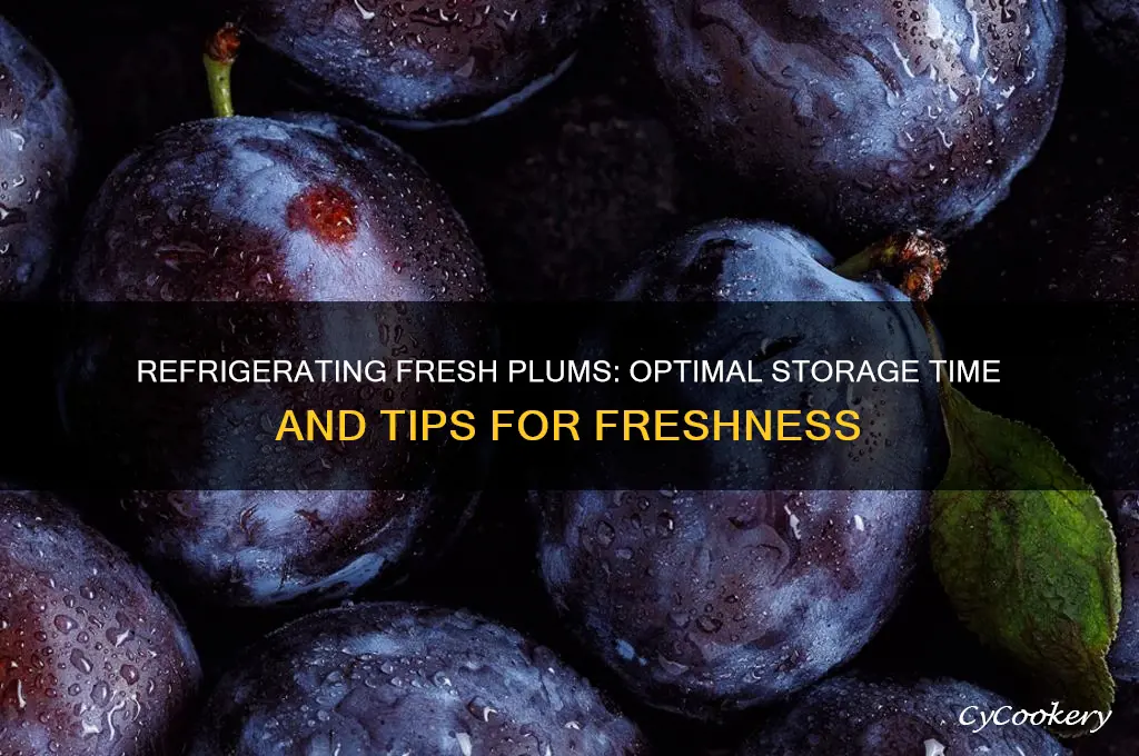 how long can i refrigerate fresh plums