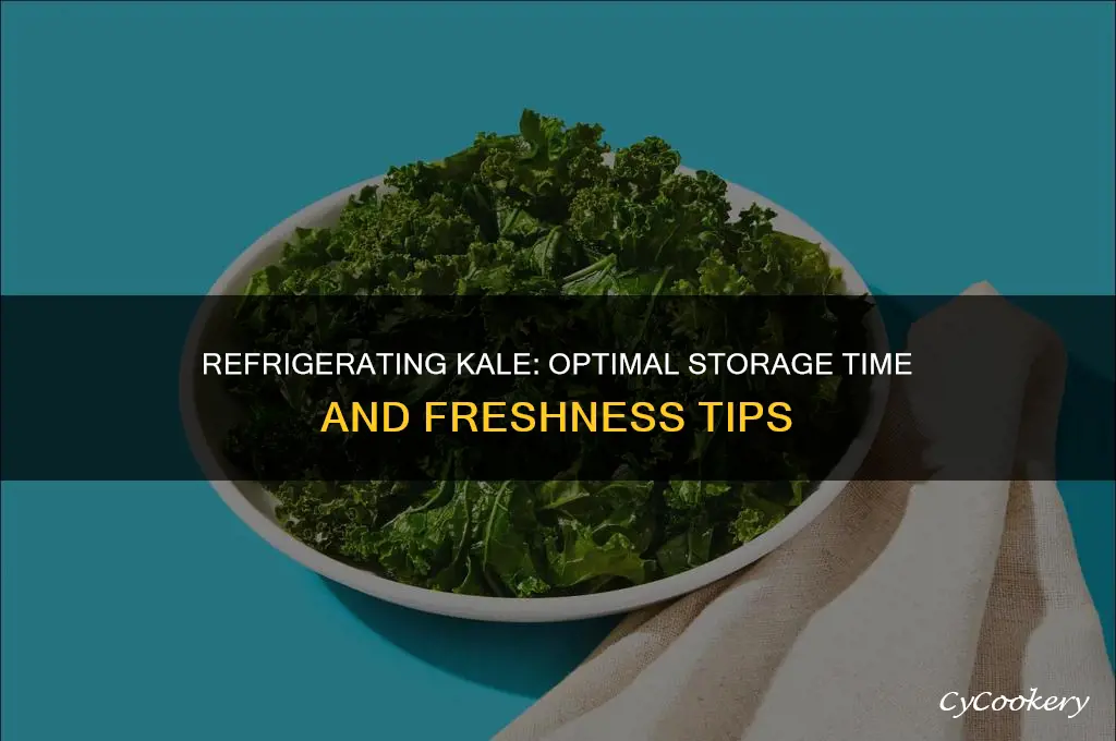 how long can i refrigerate kale