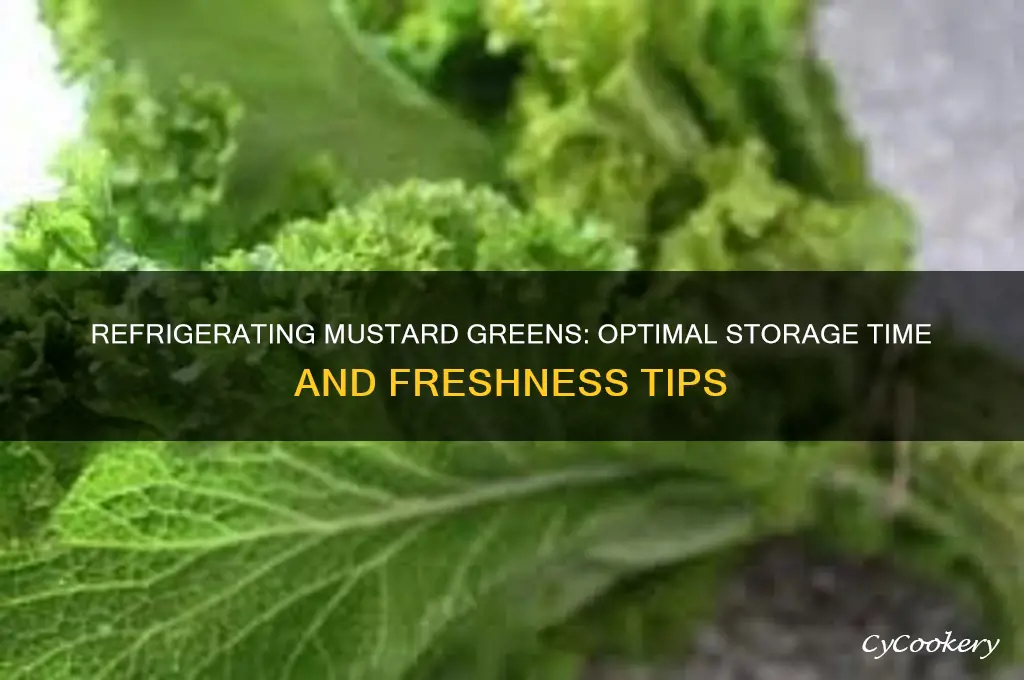 how long can i refrigerate mustard greens in the refrigerator