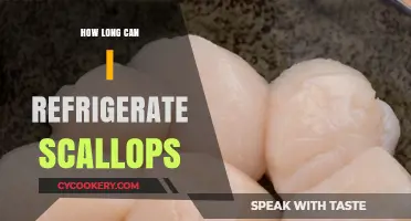 Refrigerating Scallops: Optimal Storage Time and Freshness Tips