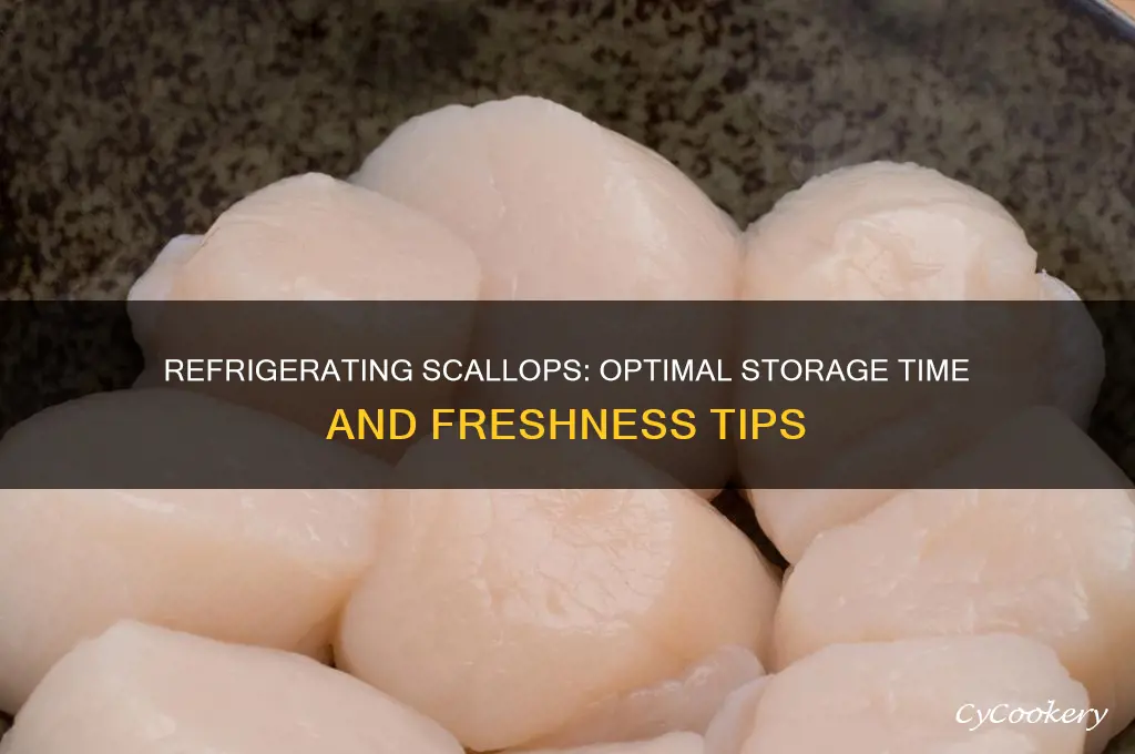 how long can i refrigerate scallops