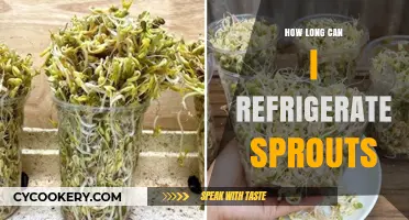 Refrigerating Sprouts: Optimal Storage Time and Freshness Tips