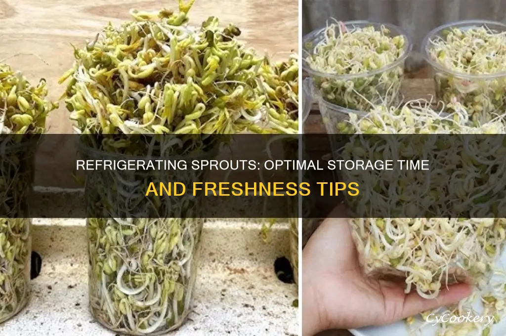 how long can i refrigerate sprouts