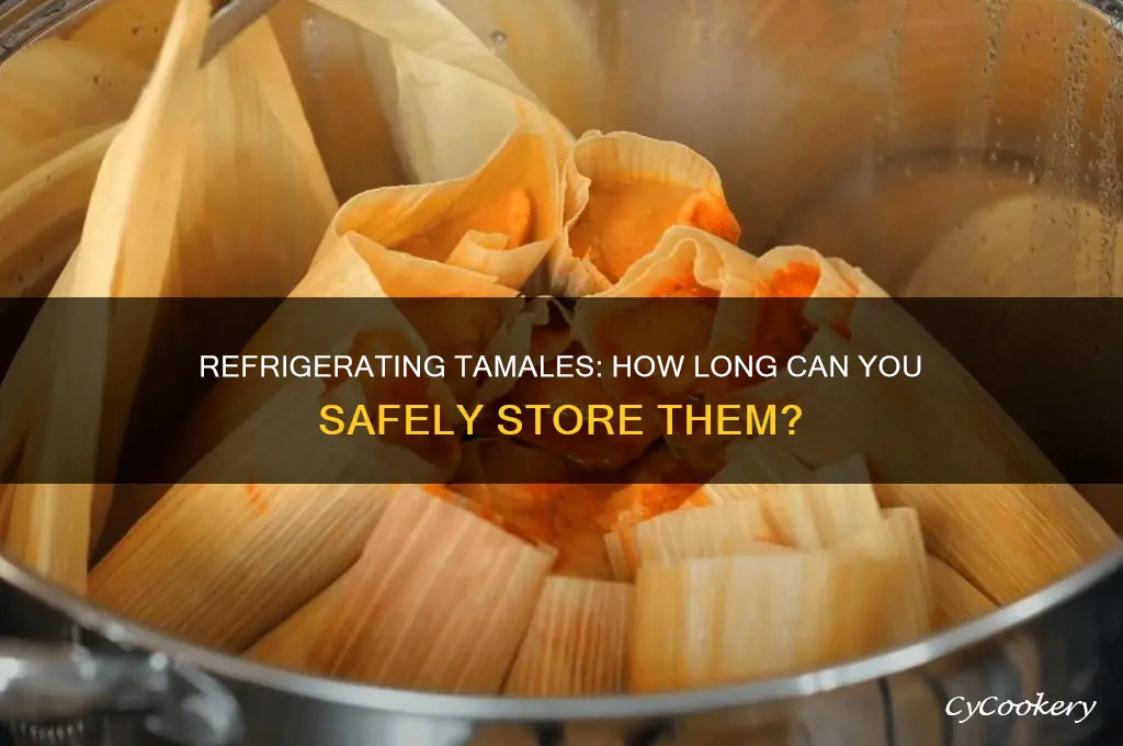 how long can i refrigerate tamales