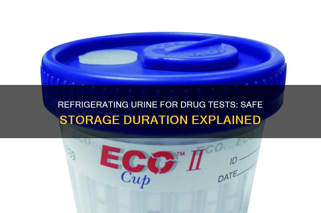 how long can i refrigerate urine for a drug test