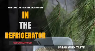 Storing Dahlia Tubers: Refrigerator Storage Tips and Duration Guide