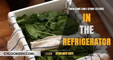Maximizing Freshness: Optimal Refrigerator Storage Time for Lettuce
