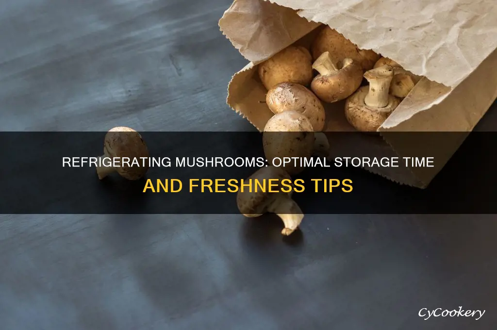how long can i store mushrooms in the refrigerator