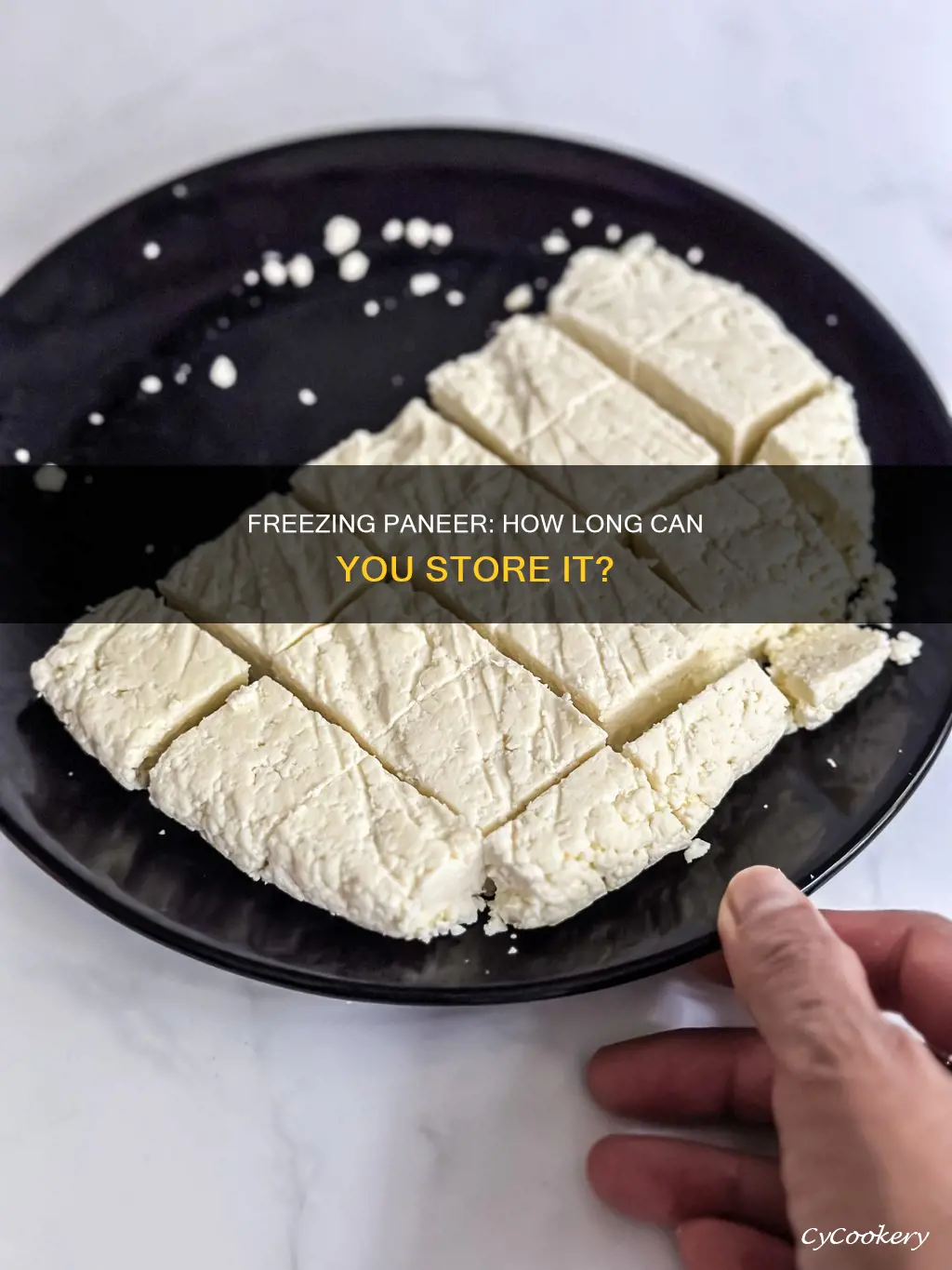 how long can I store paneer in freezer