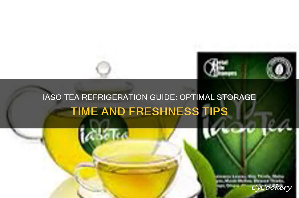 how long can iaso tea stay in the refrigerator