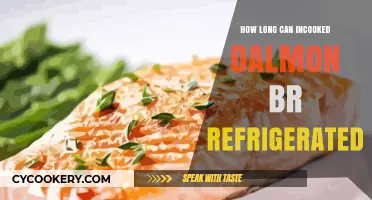 Refrigerating Cooked Salmon: Safe Storage Time and Tips
