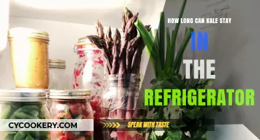 Maximizing Freshness: How Long Can Kale Stay in the Fridge?