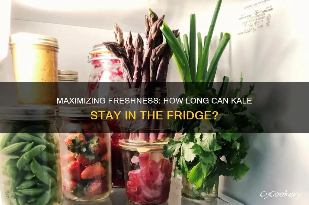 how long can kale stay in the refrigerator