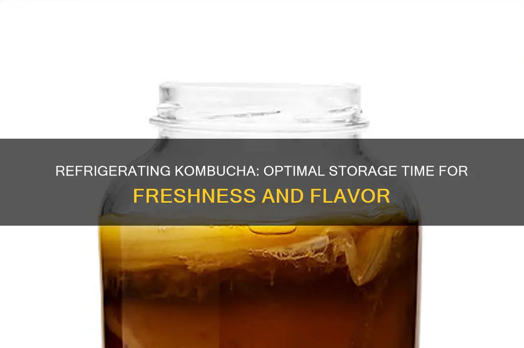 how long can kombucha be refrigerated