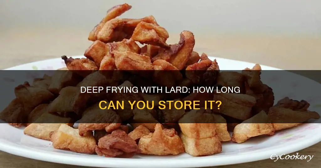 how long can lard be stored deep fryer