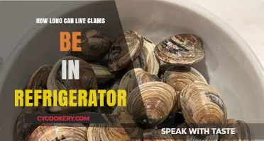 Storing Live Clams: Refrigerator Shelf Life and Freshness Tips