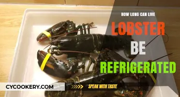 Refrigerating Live Lobster: Optimal Storage Time and Freshness Tips