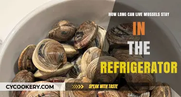 Refrigerating Live Mussels: Optimal Storage Time for Freshness and Safety