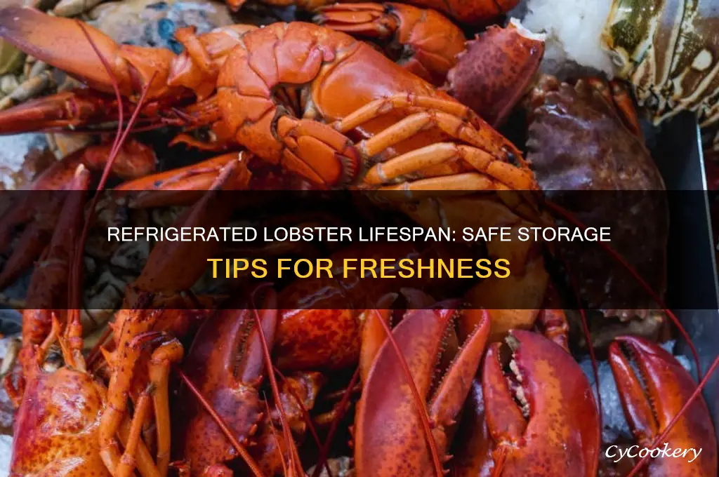 how long can lobster sit in the refrigerator