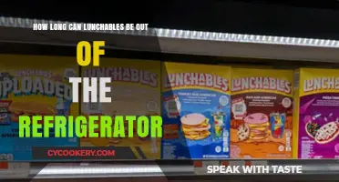 Lunchables Shelf Life: How Long Can They Sit Out Safely?