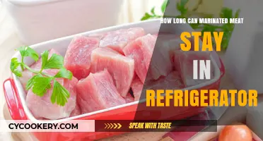 Marinated Meat Storage: How Long Can It Last in the Fridge?
