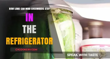 Mini Cucumbers: Refrigerator Storage Tips for Maximum Freshness