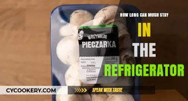 How Long Can Mush Stay Fresh in the Fridge?