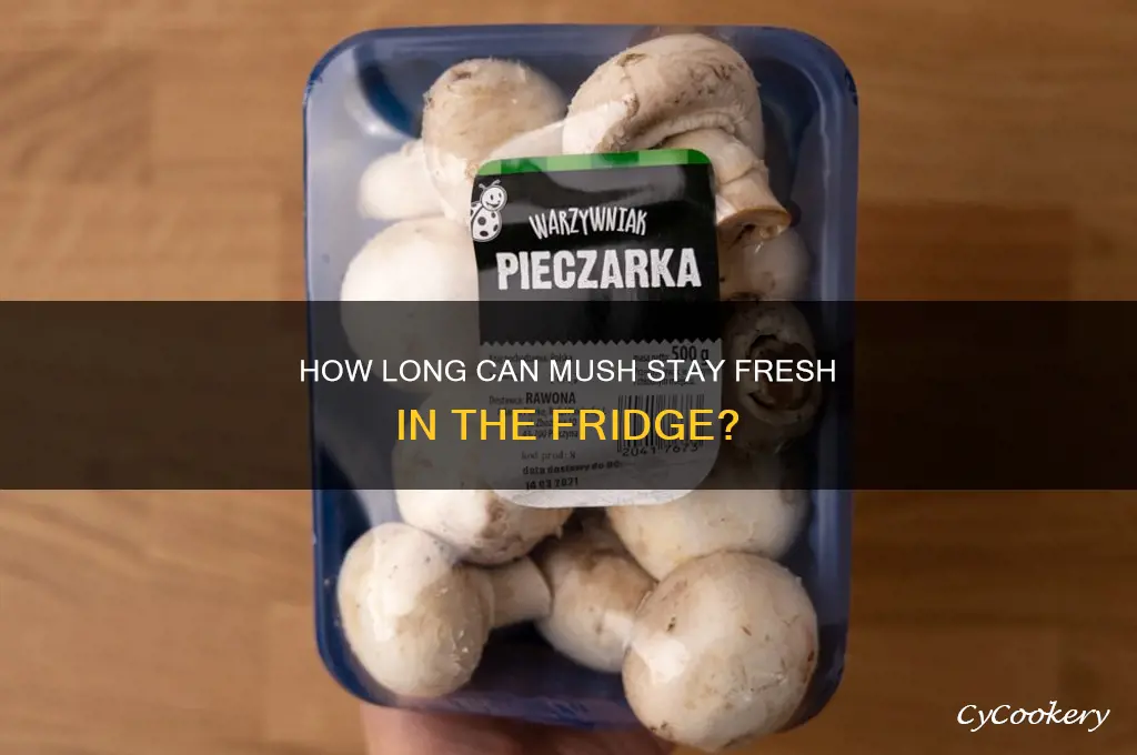 how long can mush stay in the refrigerator