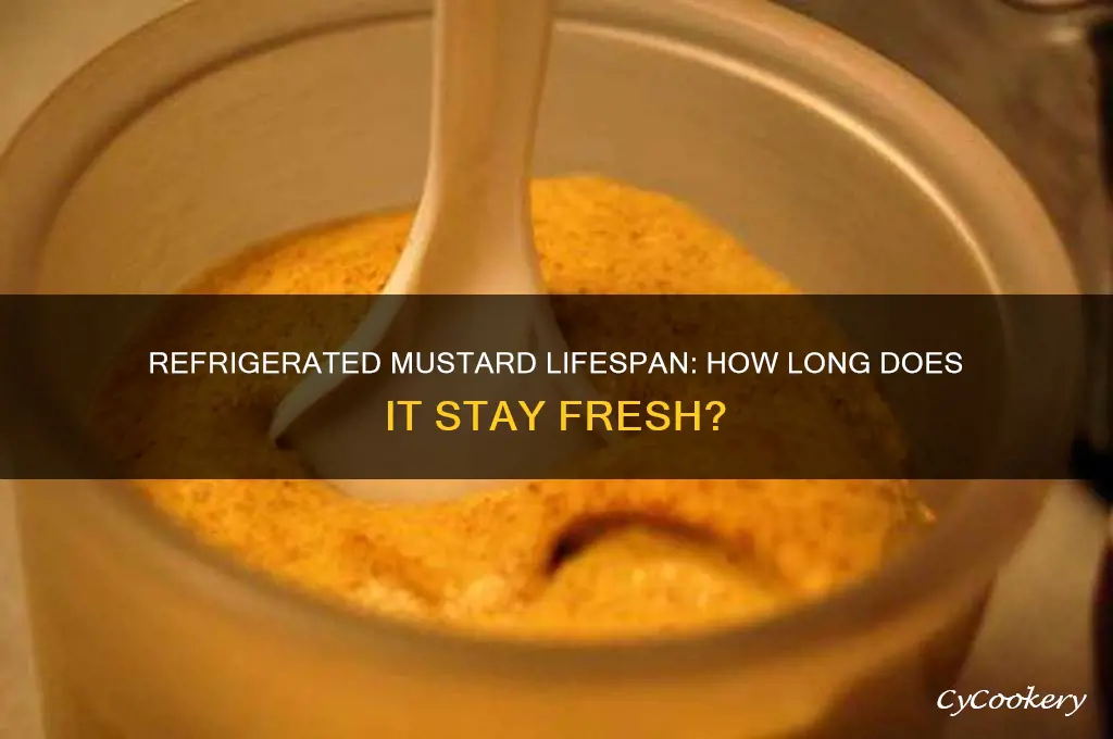 how long can mustard be refrigerated
