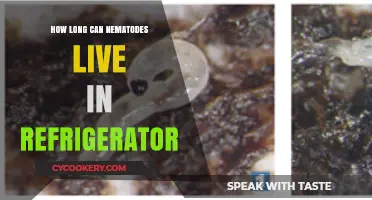 Nematode Survival: How Long Can They Live in Your Fridge?