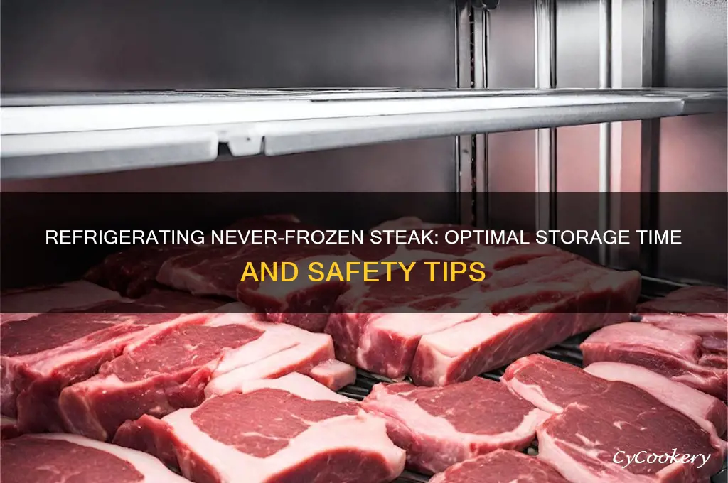 how long can never frozen steak be refrigerated