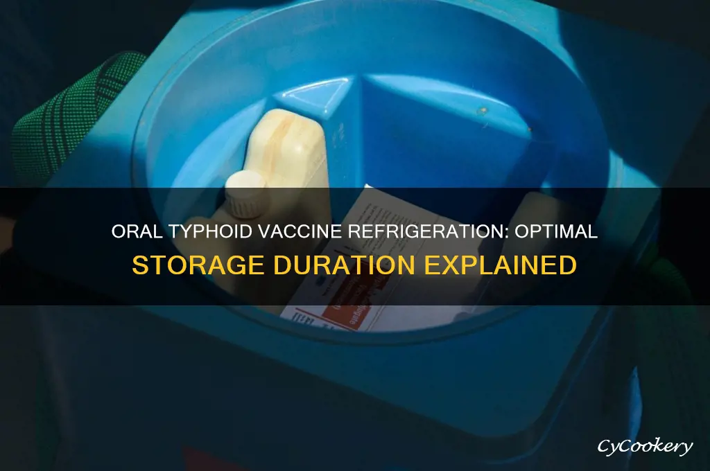 how long can oral typhoid vaccine be refrigerated