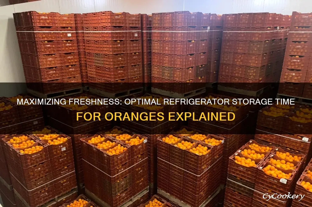 how long can oranges stay in the refrigerator