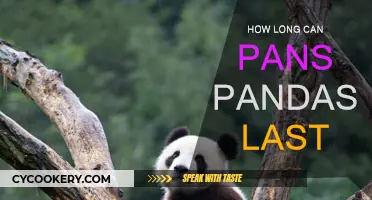 The Lifespan of a Pan: Pandas' Longevity Secrets
