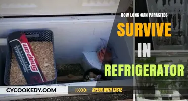 Parasite Survival in Refrigerators: How Long Can They Last?